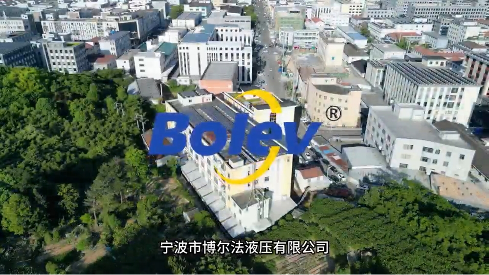 视频标题