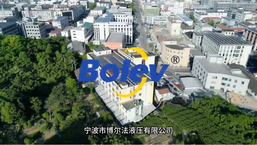 视频标题